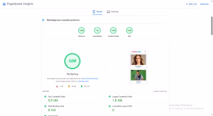 Hasil Page Insight Tema WordPress Lightwell 1.4