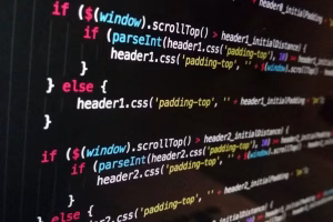 Wordpress vs Custom Script